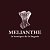 la boutique de la lingerie MELIANTHE