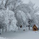 Светлана Карпович(Пекарская)