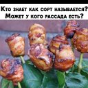 Вячеслав Москаленко