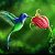 Kolibri - Все Самое Интересное