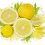 Лимоны Cítrus límon Цитрусы растение, плоды, сок и