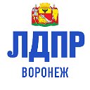 Воронеж ЛДПР