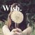 Wish .