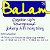 Интернет-магазин "Balam"