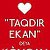 ♥♥♥"TaQdIR EkAn" dEyA KuNgAn OshIqLaR