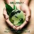 Greenway за экологию во всем мире