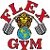 flexgym