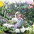 Сказочный сад СФ: Фиалки, семена, цветы, овощи
