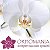 Орхомания - прекрасные орхидеи со всего мира