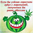 анна усольцева