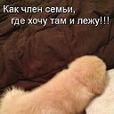 ам сигер коток