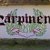 NOUA GENERATIE DIN CARPINENI CITY