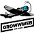 Веб-студия Growwweb