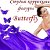 Студия биомеханической коррекции фигуры "Butterfly