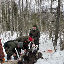 Андрей Лимонов