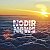 Nodir-News