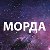 Морда