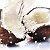 Кокос кокосовый орех молоко масла Cocos nucifēra