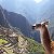 Graan Travel Peru