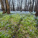 РемонтСтиральных МашинНовалександровске