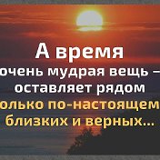 Рустам Магамедов