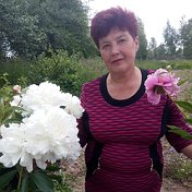 Антонина Сенюшкина