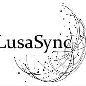 Lusa Sync