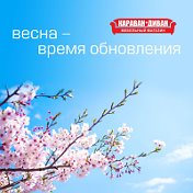 Мебель Караван г Новоузенск