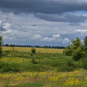 Сергей Старых