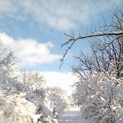 Николай Могилевский