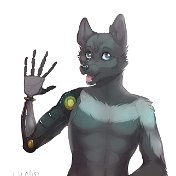 Wolf the Furry