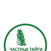 🌲ПИХТОВАЯ ПОДУШКА🌲