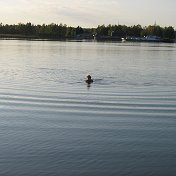 Татьяна Сокол (Никитина)