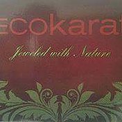 EcoKarat Jewelry Oak Park IL