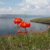 Наталья Округина 🌹