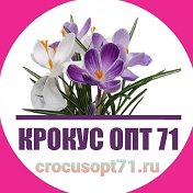 Флористический оптово-розничный центр