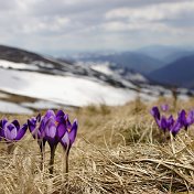 Лариса Бакаева (Сунегина)