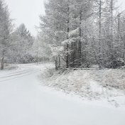 Наталья Шаповалова