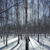 Андрей sВорог