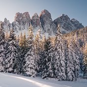 Зульфия живой Человек ЖенЧина