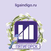 Лига Индиго Пятигорск