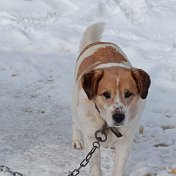 Валера Замятин