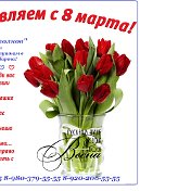 Мир Потолков 89202020042 Белгород