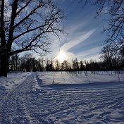 Патрисия Лужайкина