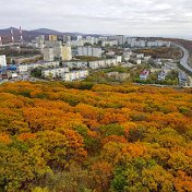 Владислав Петров