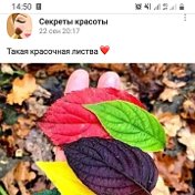 Дар дил ишки туст Аллох