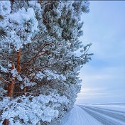 Зульфия Самикова (Сулеева)