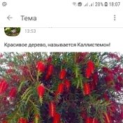 Аня Краснодар