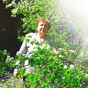 Зоя Иванцова гутникова