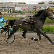 светлана куимова